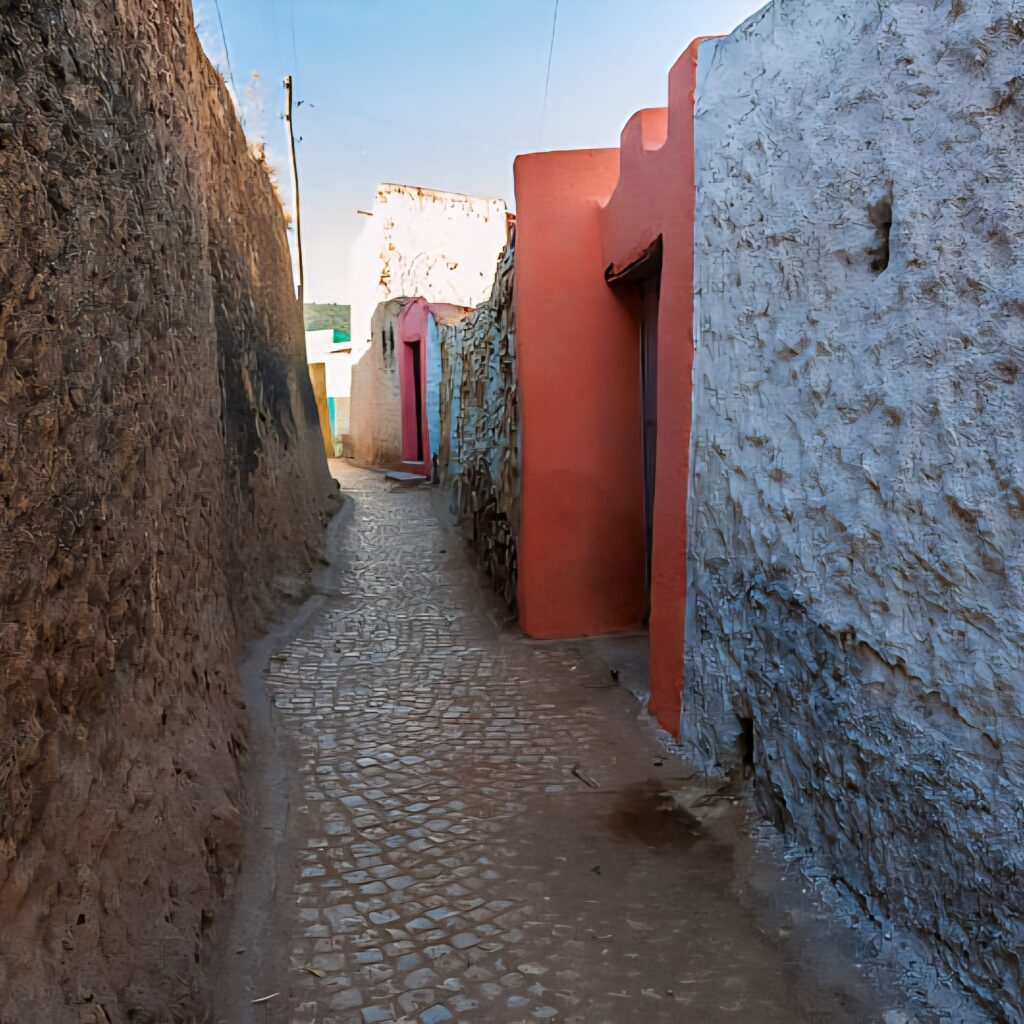 Ancient city Harar Tour