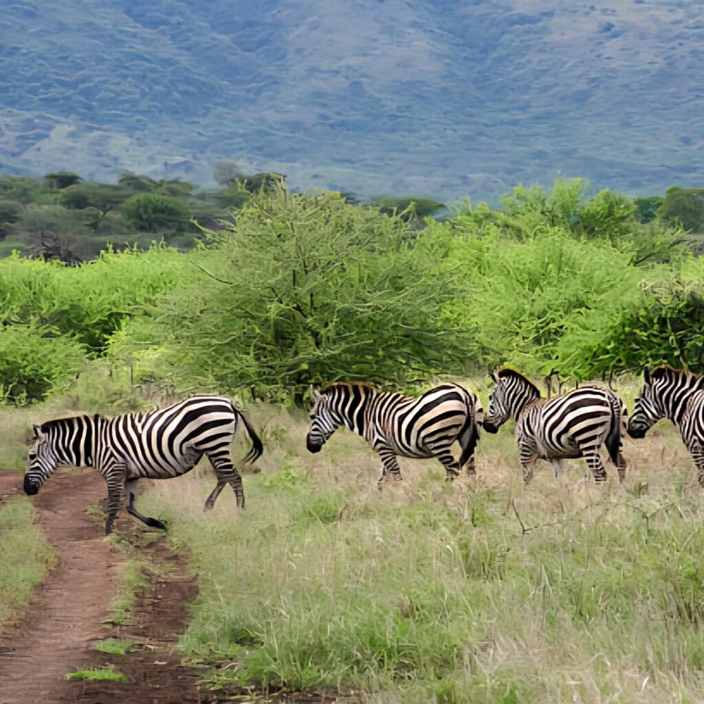 Best Arbaminch Ethiopia tours