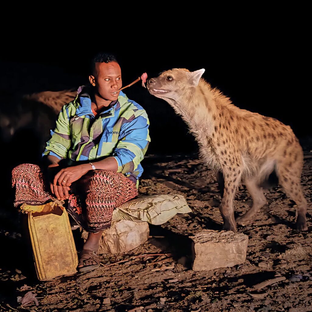 6 Day Danakil Depression and Harar Tour with Best Ethiopian Tours – explore Ethiopia’s most extraordinary destinations including the colorful sulfur springs and salt flats of Dallol, the glowing lava lake of Erta Ale Volcano, the Afar people’s traditional salt caravans, and the vibrant cultural city of Harar, a UNESCO World Heritage Site known for its ancient walls, lively markets, mosques, and unique hyena feeding ritual, offering the ultimate Ethiopia adventure combining natural wonders and rich culture