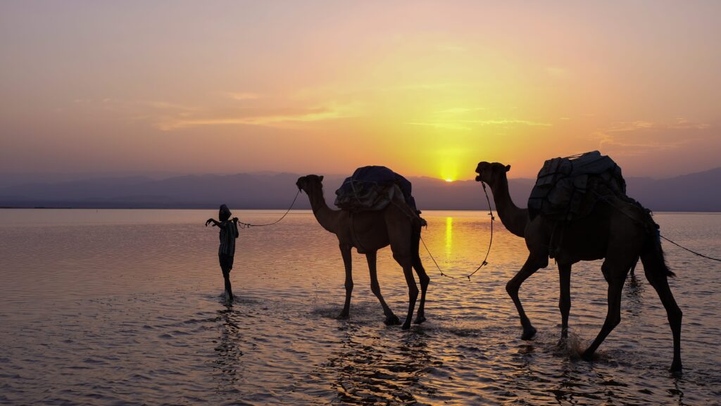 5-day-Danakil-tour-package-volcano-adventure-salt-flats-cultural-human-history-afar-semera-afdera-volcano-hottest-place-on-earth-wildlife-hiking-tekking-tribal-tour