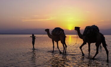 5-day-Danakil-tour-package-volcano-adventure-salt-flats-cultural-human-history-afar-semera-afdera-volcano-hottest-place-on-earth-wildlife-hiking-tekking-tribal-tour