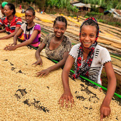 Addis Ababa coffee tour