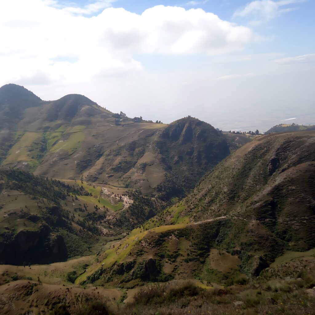Day Trip From Addis Ababa Suba Forest