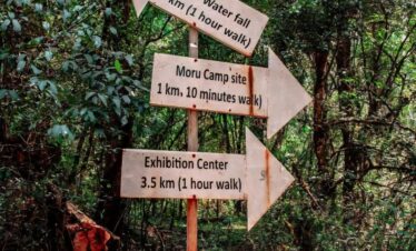 Oldest Forest In Ethiopia