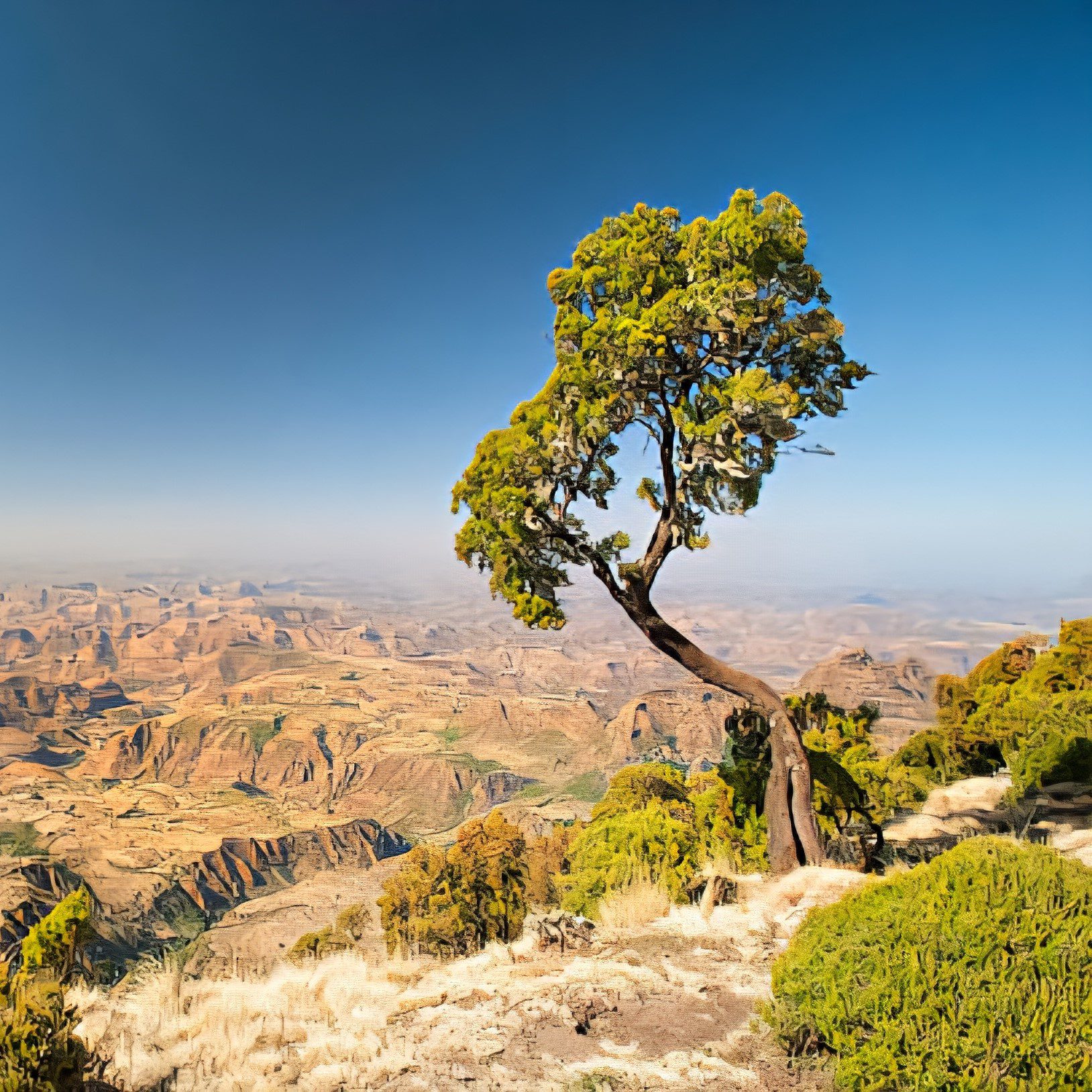 Panoramic view of the Simien Mountains in Northern Ethiopia Best Ethiopian Tours 2025 2026